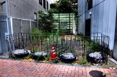 street corner illusions#105