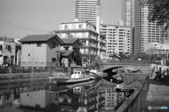 tokyo monochrome# (1194)