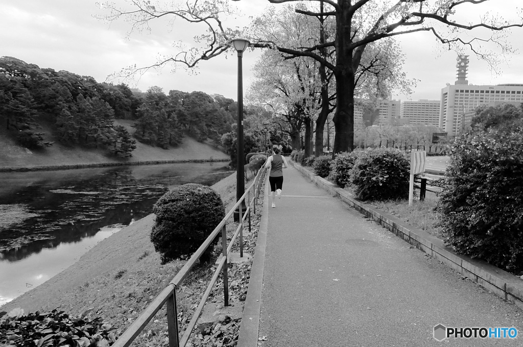 tokyo monochrome#776