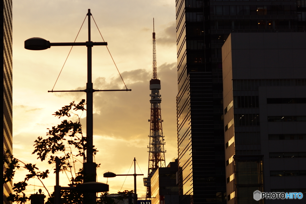 帰りたくなったよ