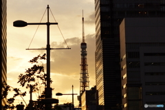 帰りたくなったよ