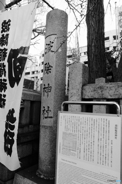 tokyo monochrome# (1578)