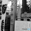 tokyo monochrome# (1578)