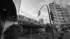 tokyo monochrome#741