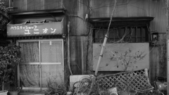 tokyo monochrome#691