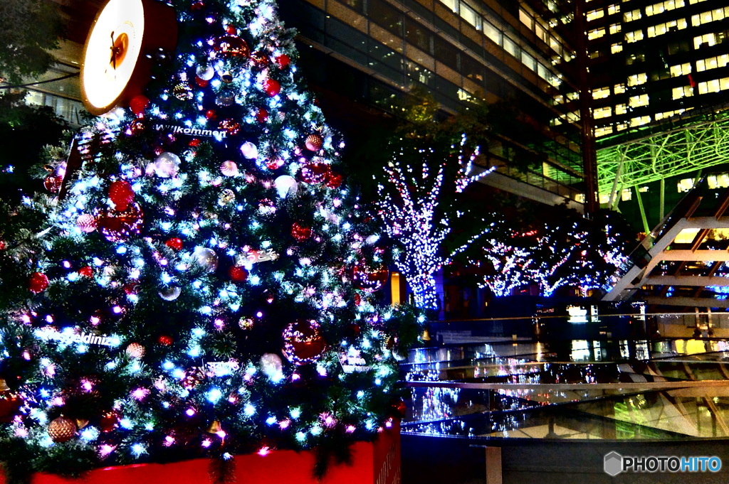 TOKYO MID TOWN (1)