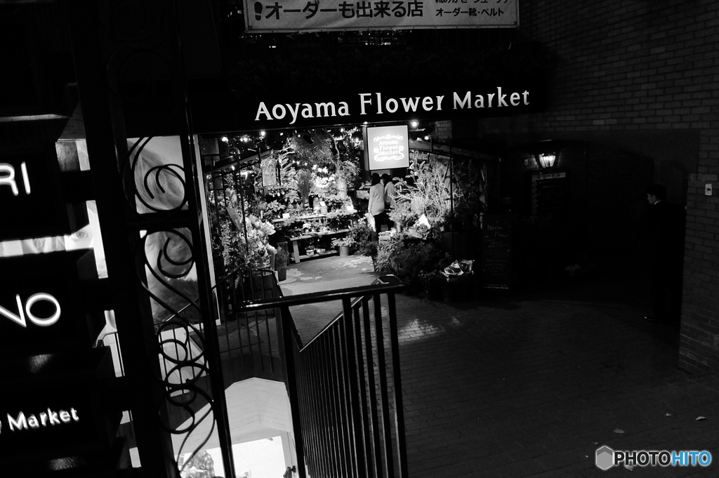 tokyo monochrome# (1025)