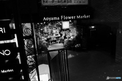 tokyo monochrome# (1025)