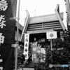 tokyo monochrome873