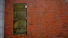 quiet color#396