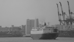 tokyo monochrome#589