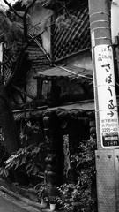 tokyo monochrome#243