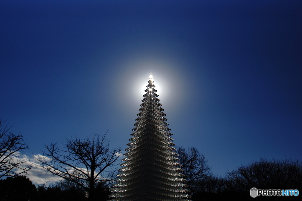 ダイヤモンドシャンパンツリー（横位置）