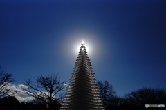 ダイヤモンドシャンパンツリー（横位置）