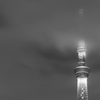 Clouded sky