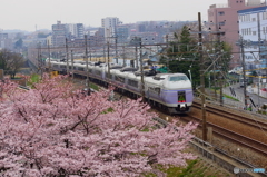 立川－日野間にて。２