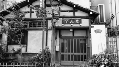 tokyo monochrome#557