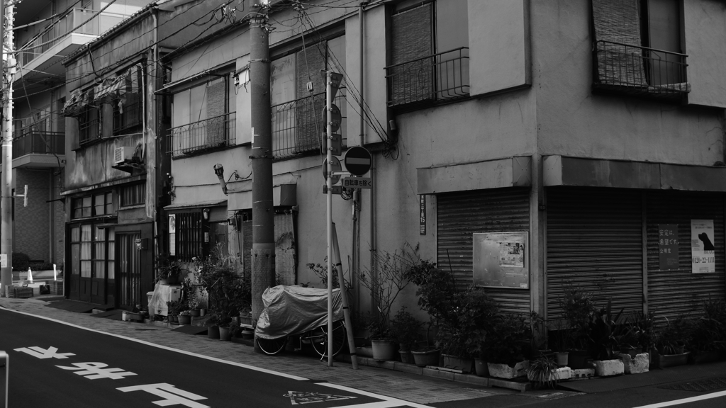 tokyo monochrome#547