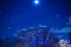 Illusion of blue night