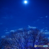 Illusion of blue night