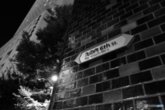 tokyo monochrome# (1454)