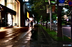 street coner illusion (453)