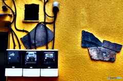quiet color#896