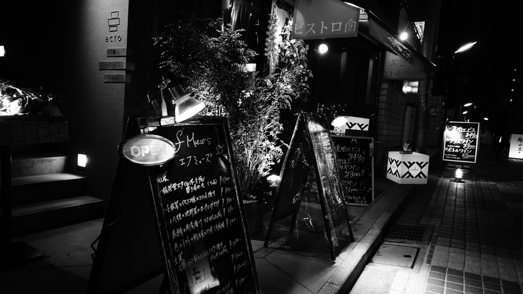 tokyo monochrome#617