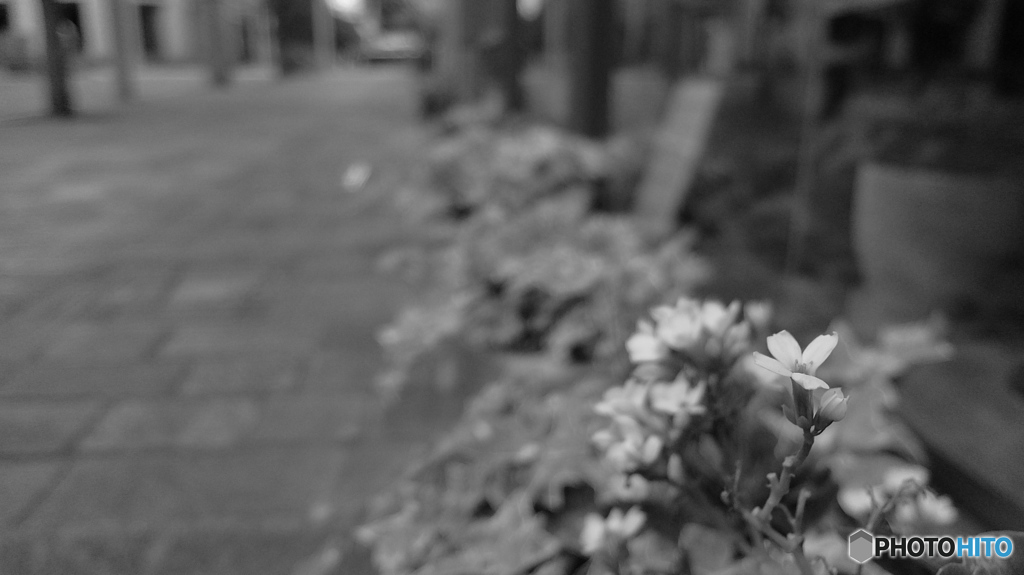 サブカメラ～テスト撮影８