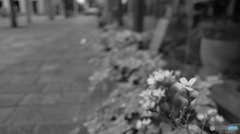 サブカメラ～テスト撮影８