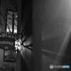 tokyo monochrome#989