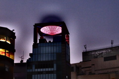 未確認飛行物体…的な