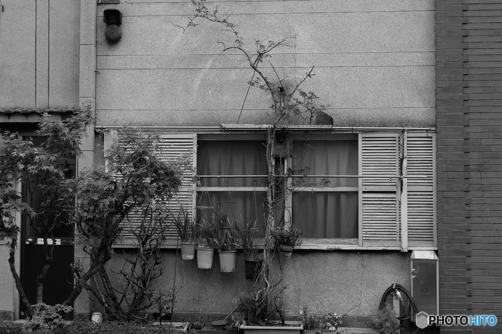 tokyo monochrome# (1467)