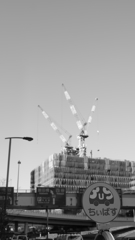 tokyo monochrome#523