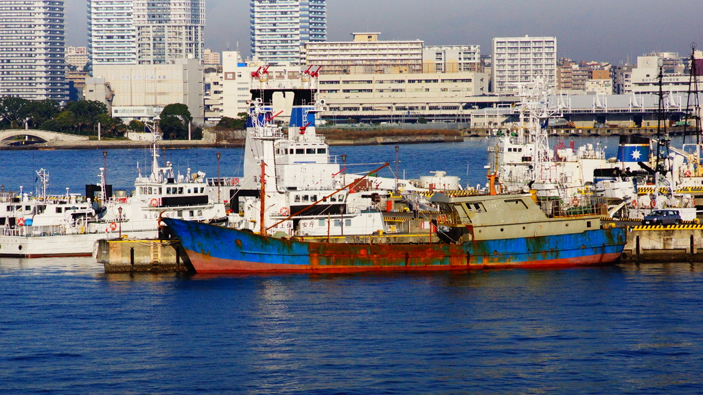 これは、もしや。