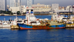 これは、もしや。