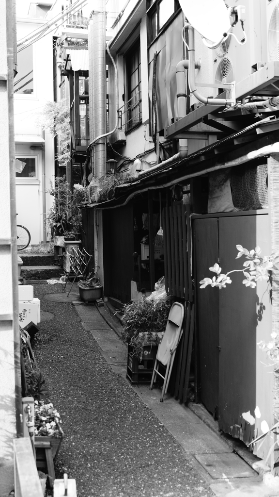 tokyo monochrome#542