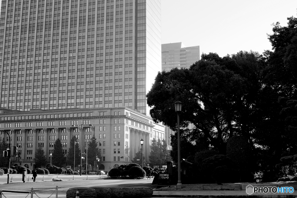 tokyo monochrome#846