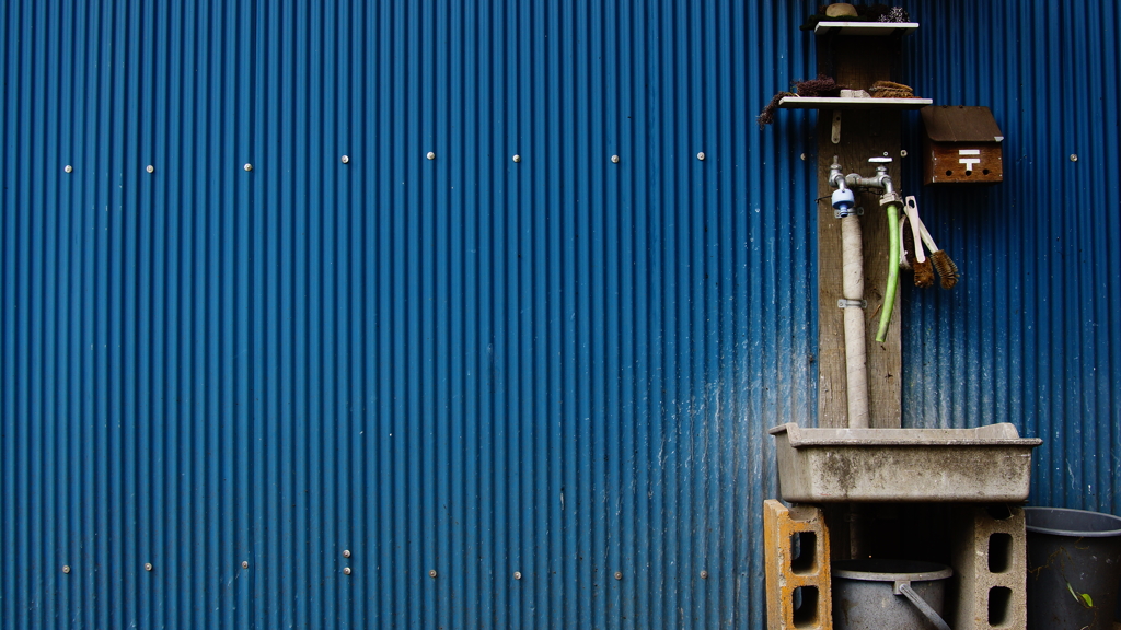 quiet color#408