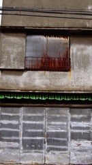 quiet color#254