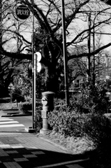 tokyo monochrome#316