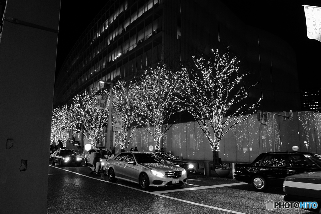 Tokyo monochrome# (1217)