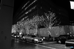 Tokyo monochrome# (1217)