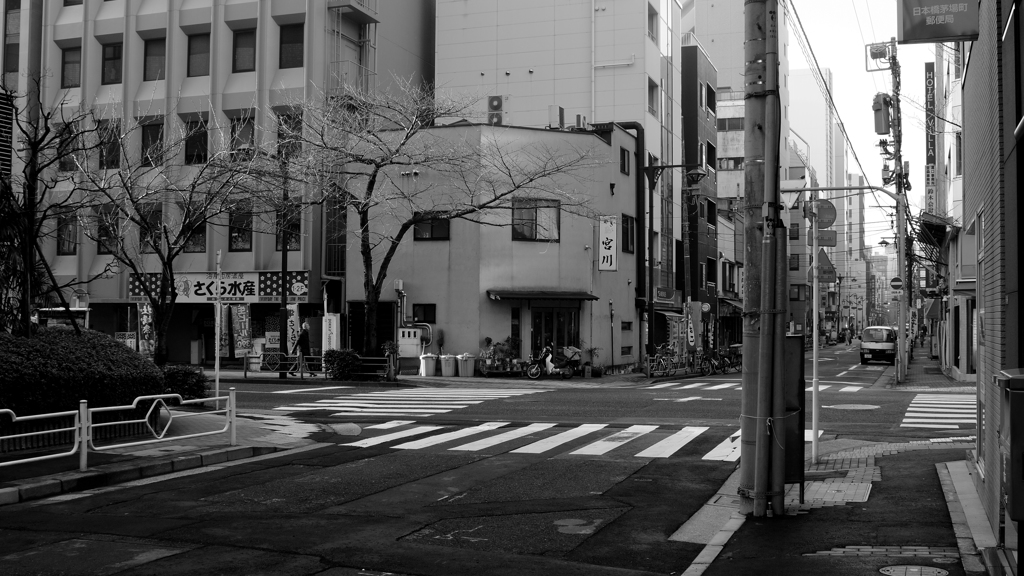 tokyo monochrome#510