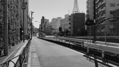 tokyo monochrome#709