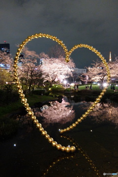 ヒルズ夜桜-1 ヒルズ夜桜-1
