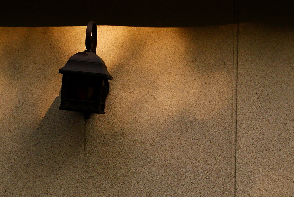 quiet color#62