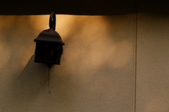 quiet color#62