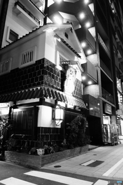 tokyo monochrome# (1103)