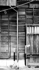 quiet color#309
